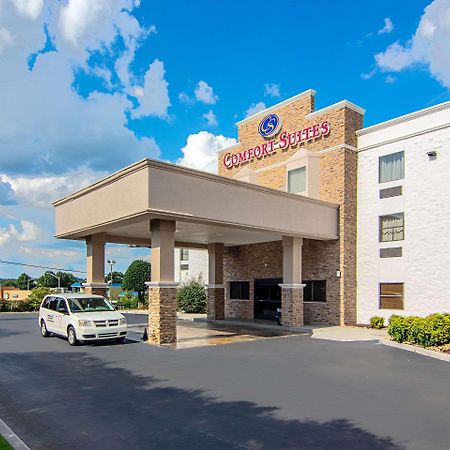 אלקואה Comfort Suites Knoxville Airport מראה חיצוני תמונה