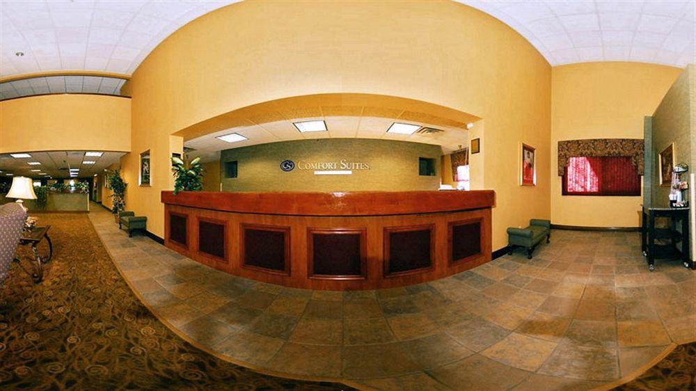 אלקואה Comfort Suites Knoxville Airport מראה חיצוני תמונה