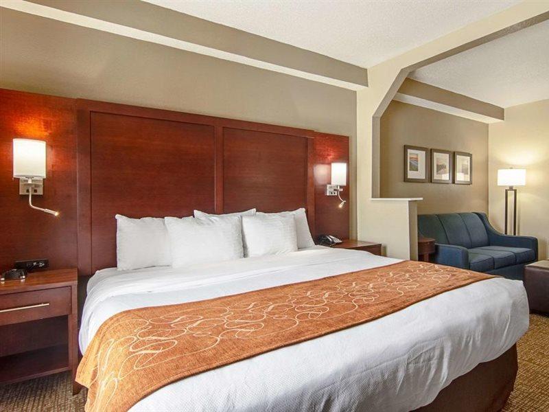 אלקואה Comfort Suites Knoxville Airport מראה חיצוני תמונה