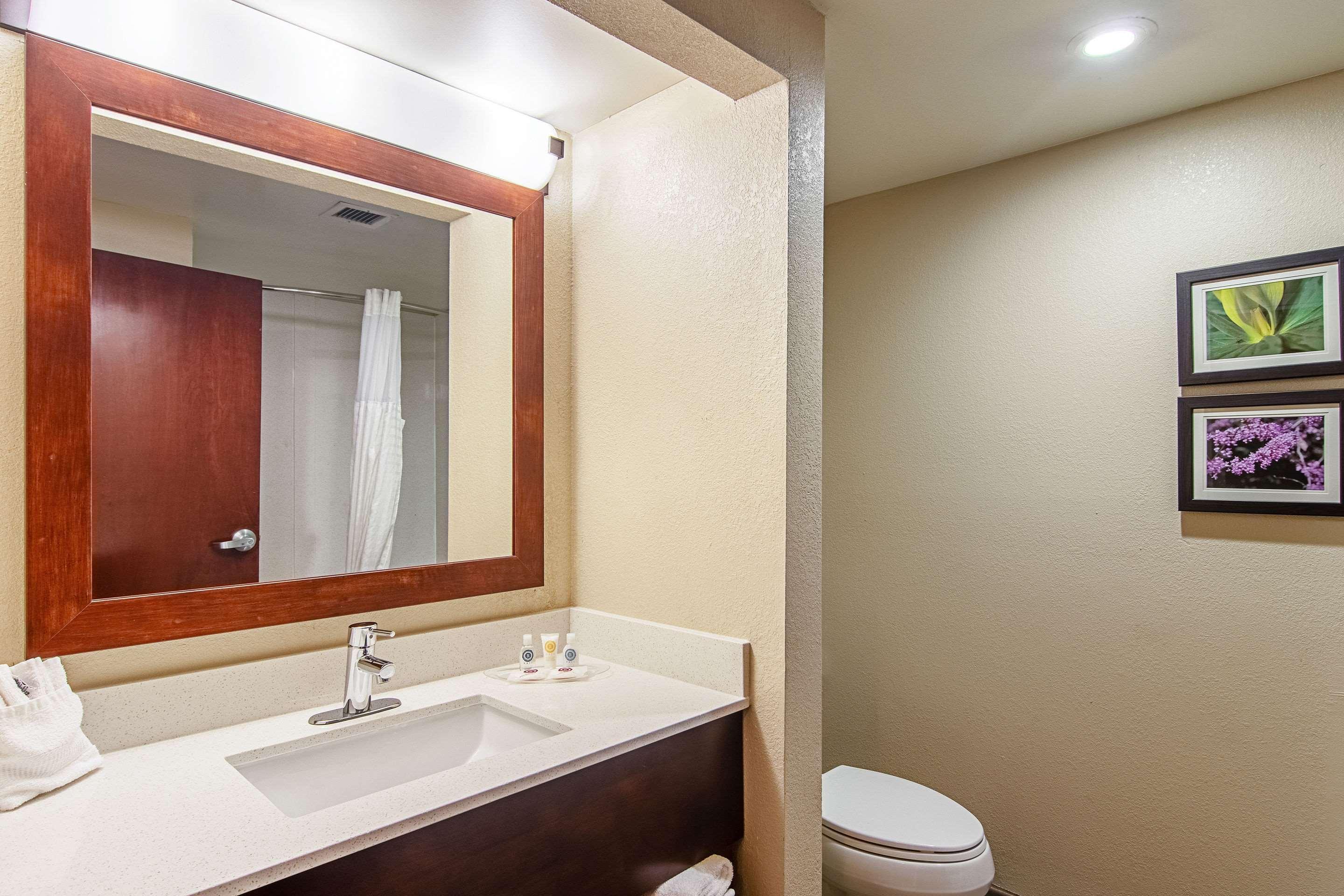 אלקואה Comfort Suites Knoxville Airport מראה חיצוני תמונה