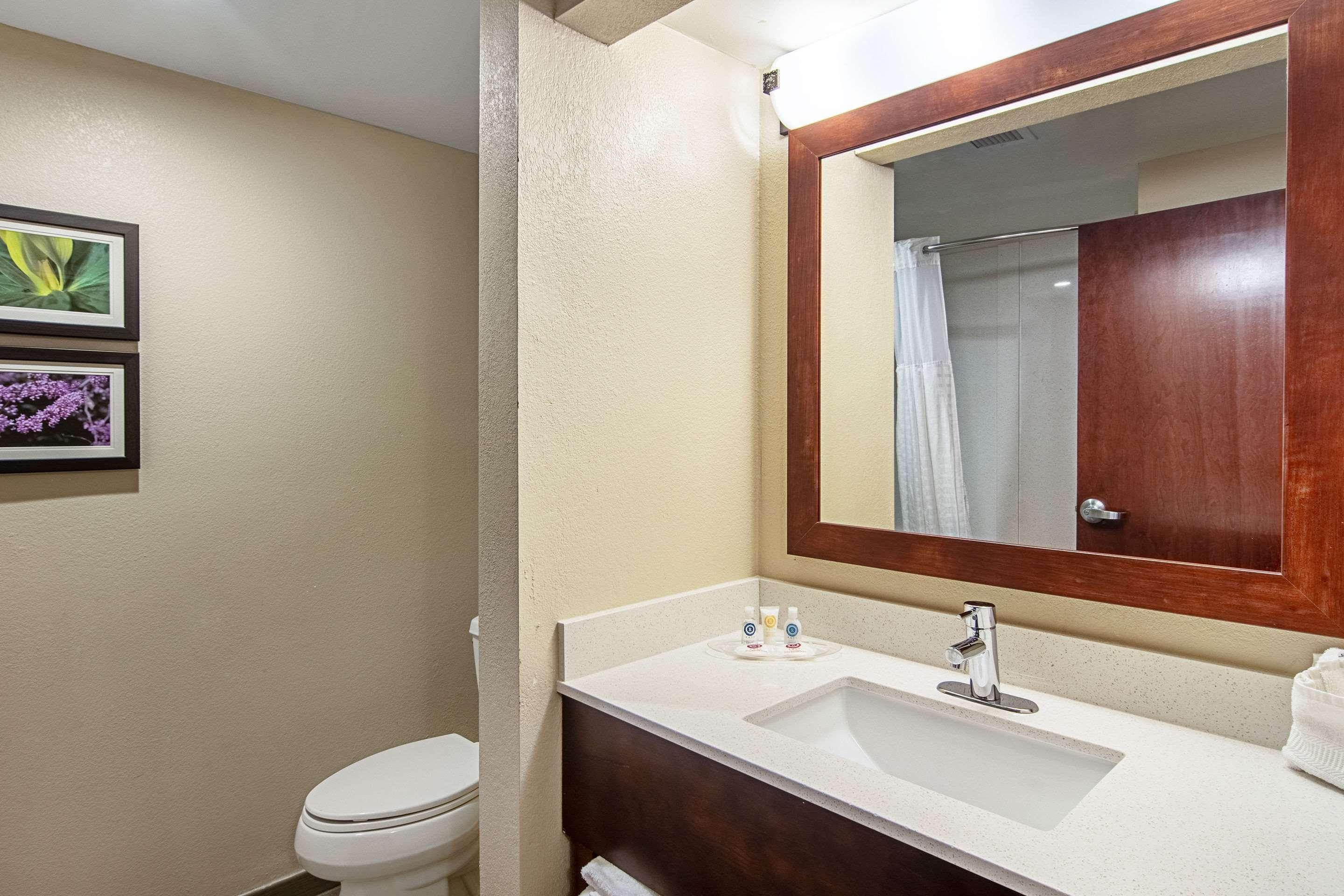 אלקואה Comfort Suites Knoxville Airport מראה חיצוני תמונה
